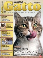 Copertina rivista Gatto Magazine
