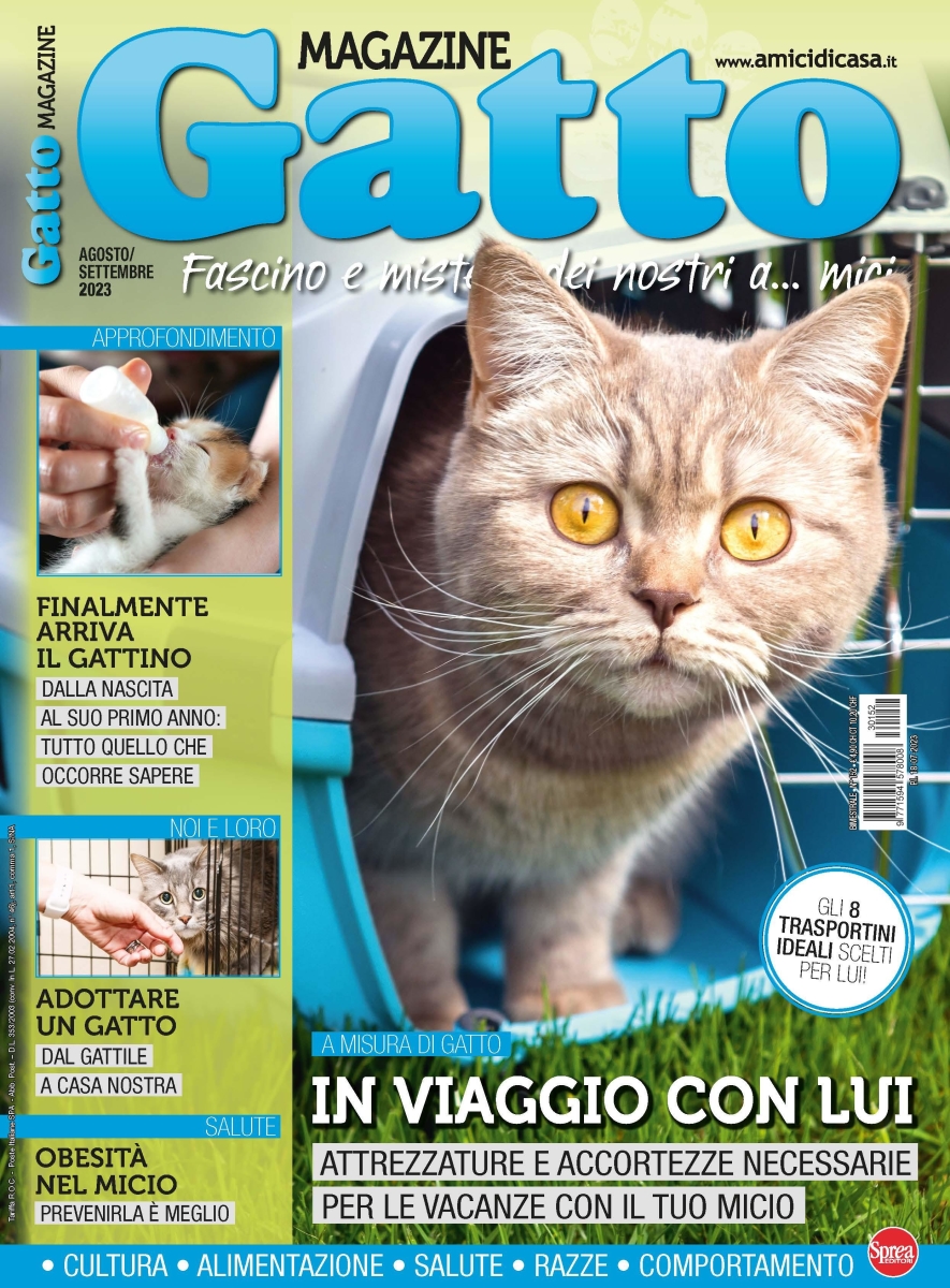 Copertina Gatto Magazine n.152