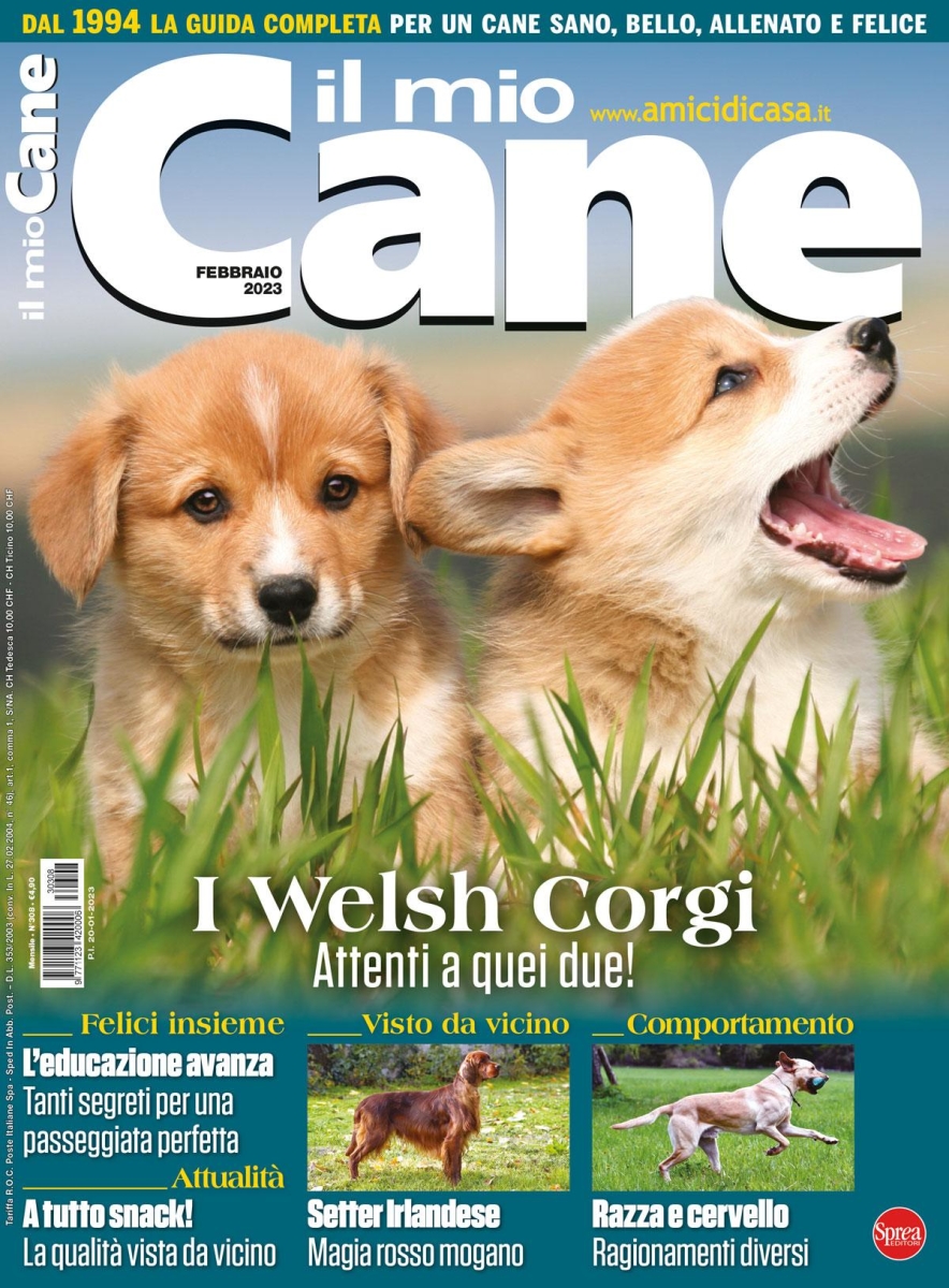 Copertina Il Mio Cane n.308