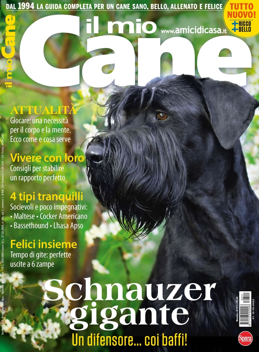 Copertina Il Mio Cane n.311