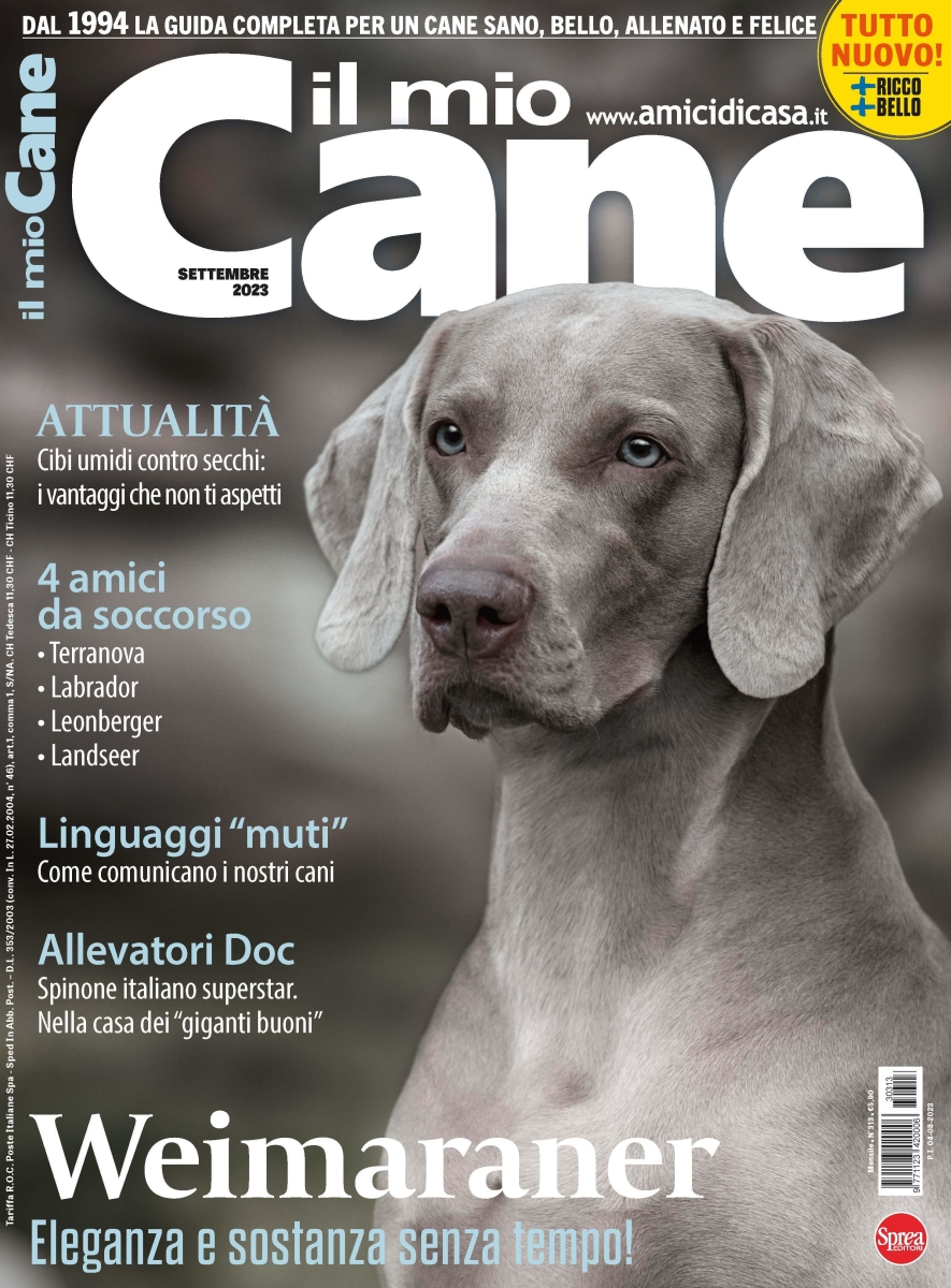 Copertina Il Mio Cane n.313