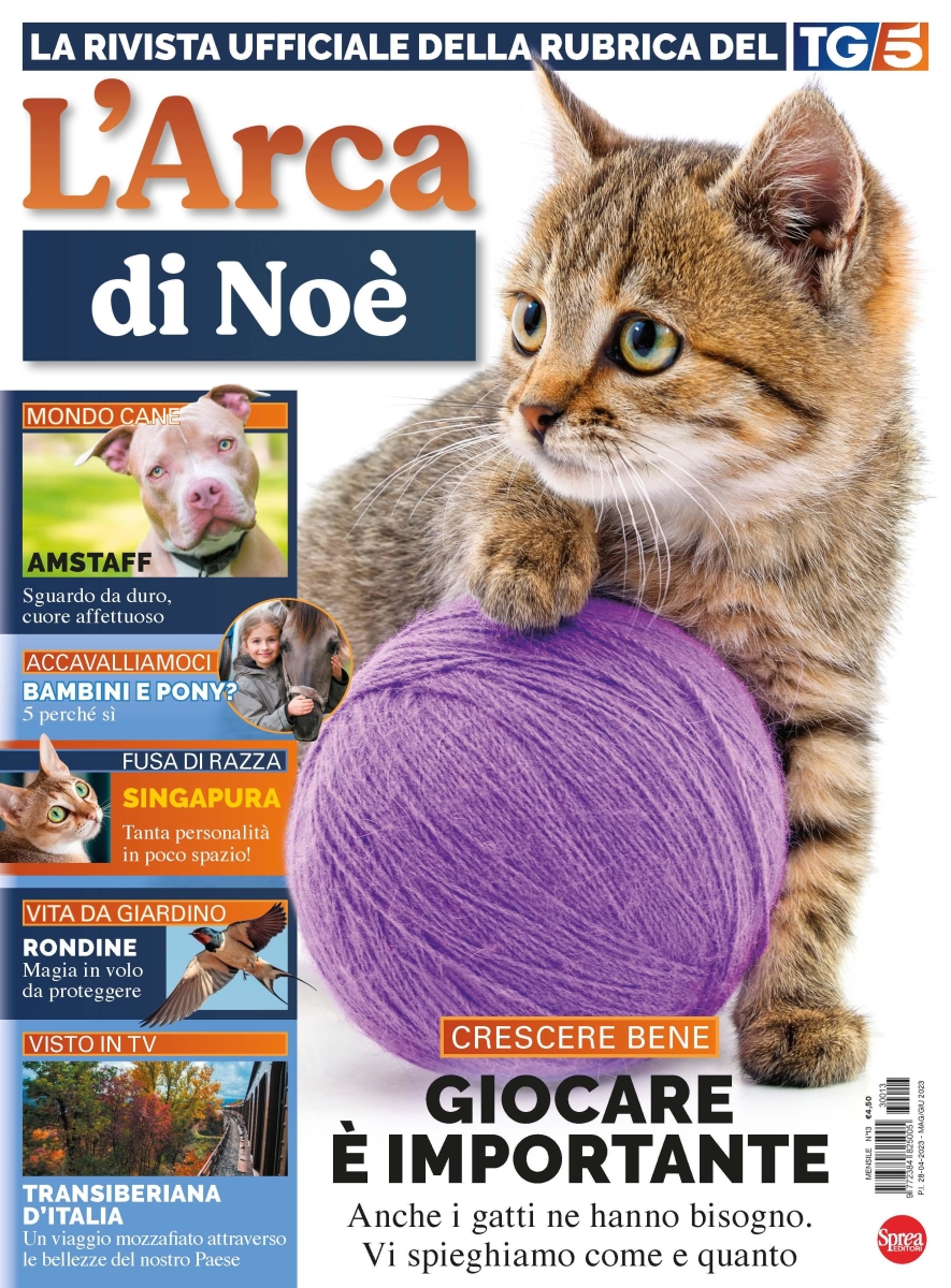 Copertina L Arca di Noe n.13