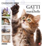 Copertina Gatto Magazine Compiega/Marachelle n.11
