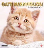 Copertina Gatto Magazine Compiega/Gatti Meravigliosi n.6