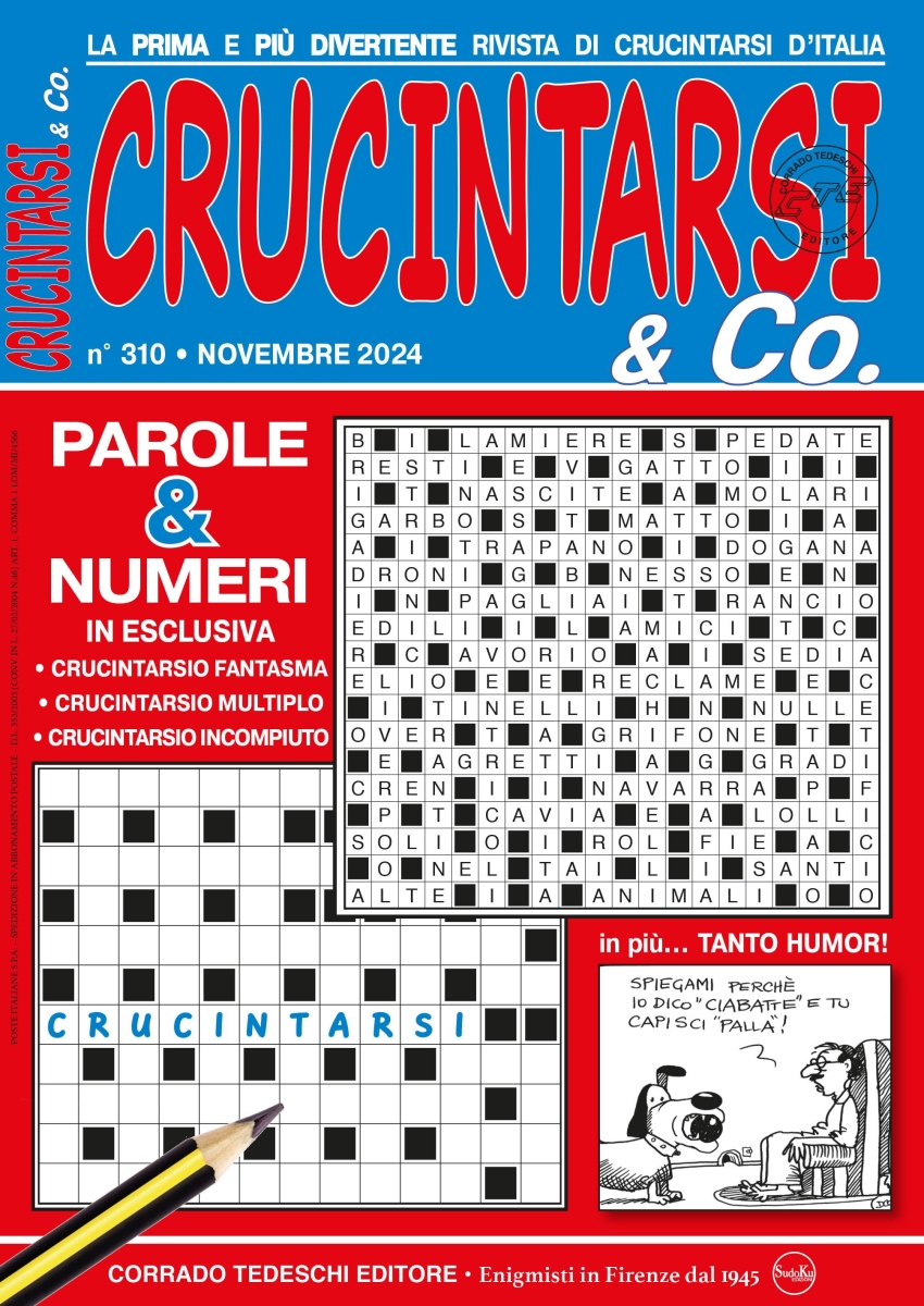 Copertina Crucintarsi & Co n.310