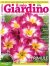 Il Mio Giardino n.260