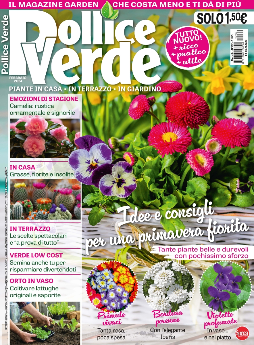 Copertina Pollice Verde n.162