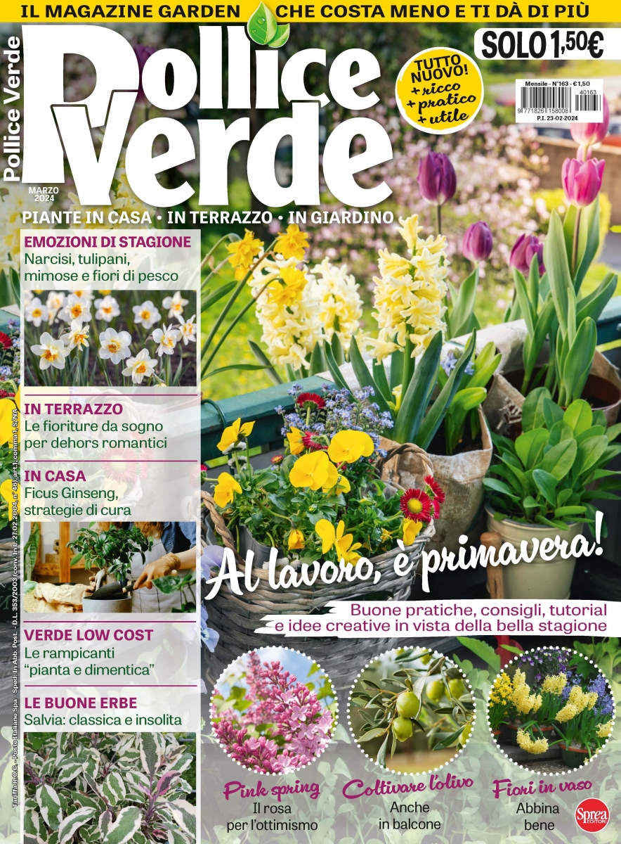 Copertina Pollice Verde n.163