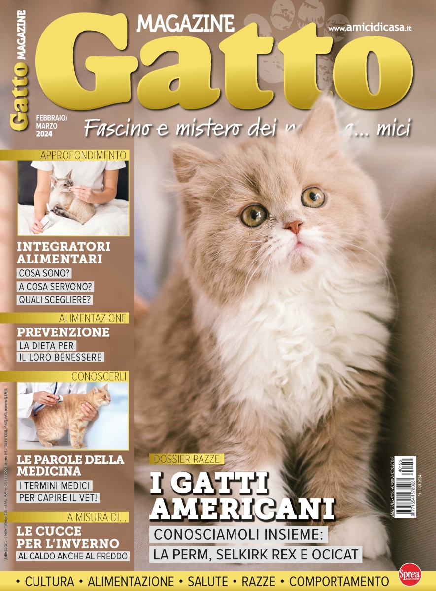 Copertina Gatto Magazine n.155