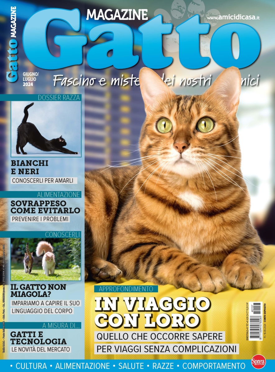 Copertina Gatto Magazine n.157