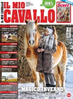 Il Mio Cavallo n.411