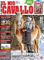 Copertina Il Mio Cavallo n.411