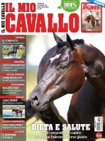 Copertina Il Mio Cavallo n.412