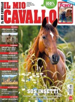 Copertina rivista Il Mio Cavallo