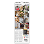 Copertina Gatto Magazine Compiega/Persiano n.12