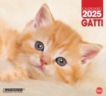 Copertina Gatto Magazine Speciale Pocket n.13