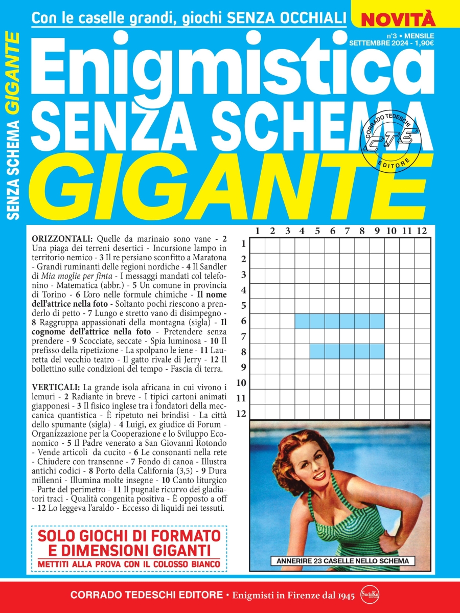 Copertina Enigmistica Senza Schema Gigante n.3