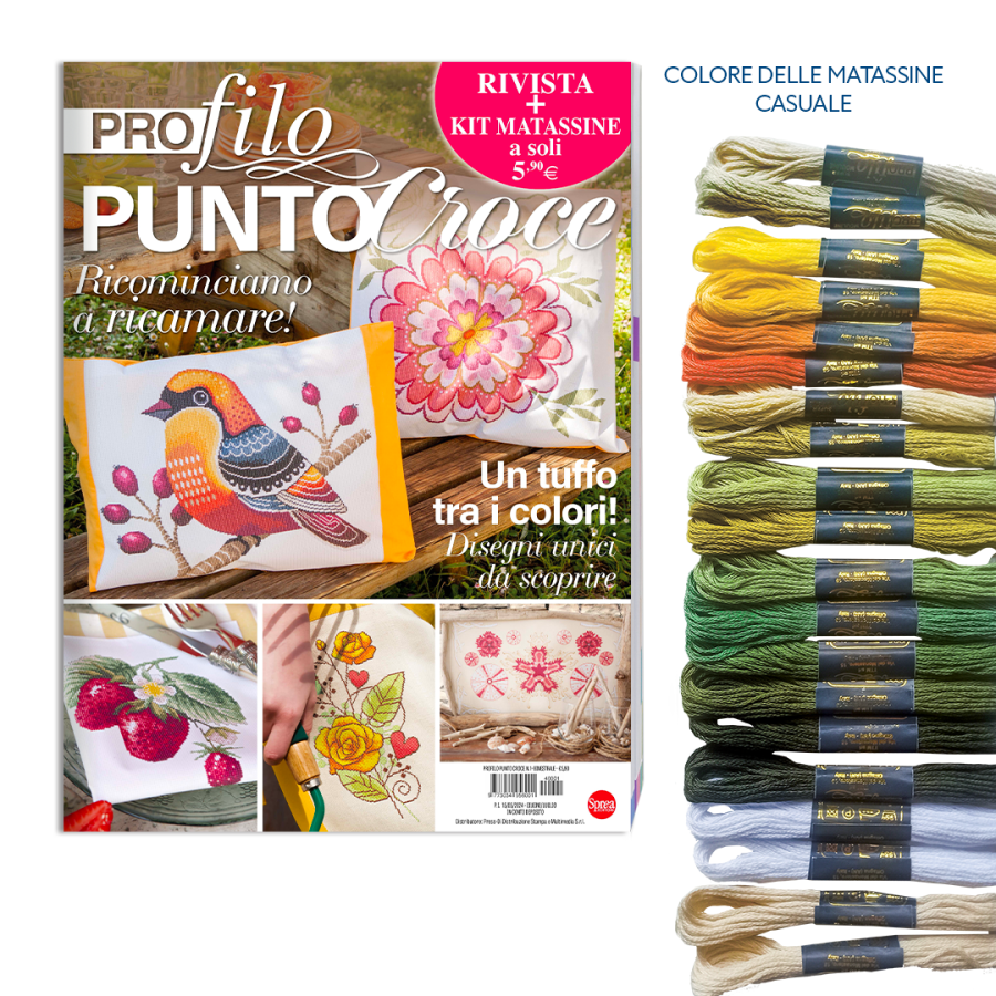 Copertina Profilo Punto Croce n.1