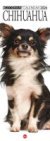 Il Mio Cane Compiega/Chihuahua n.14