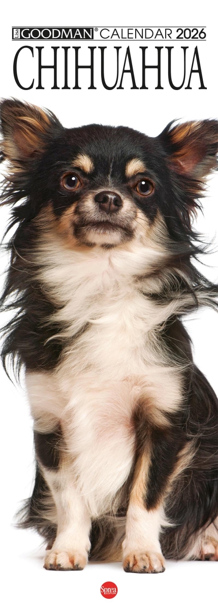 Copertina Il Mio Cane Compiega/Chihuahua n.14