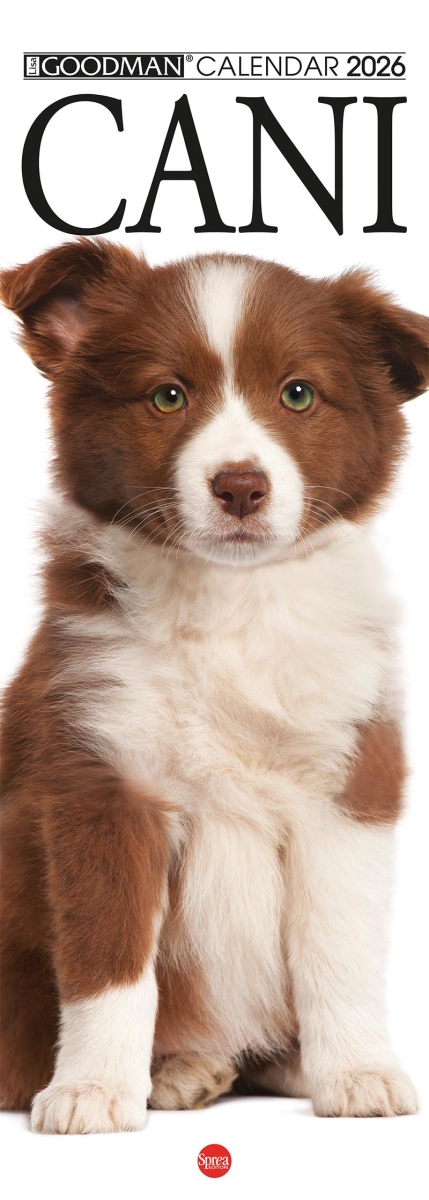 Copertina Il Mio Cane Compiega/Cani n.14