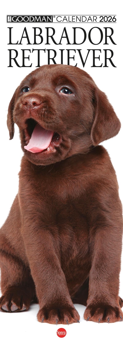 Copertina Il Mio Cane Compiega/Labrador n.14