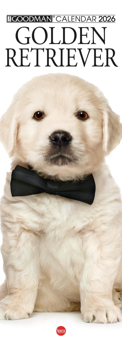 Copertina Argos Compiega/Golden Retriever n.14