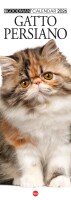 Copertina Gatto Magazine Compiega/Persiano n.13
