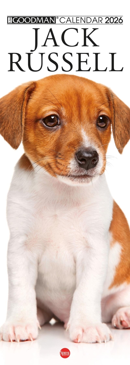 Copertina Argos Compiega/Jack Russell n.8