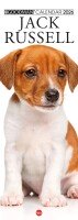 Copertina rivista Argos Compiega/Jack Russell
