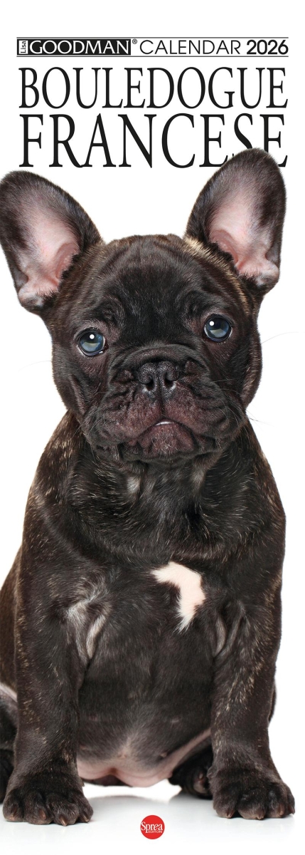 Copertina Il Mio Cane Compiega/Bouledogue Francese n.6