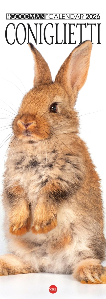 Copertina Argos Compiega/Coniglietti n.14