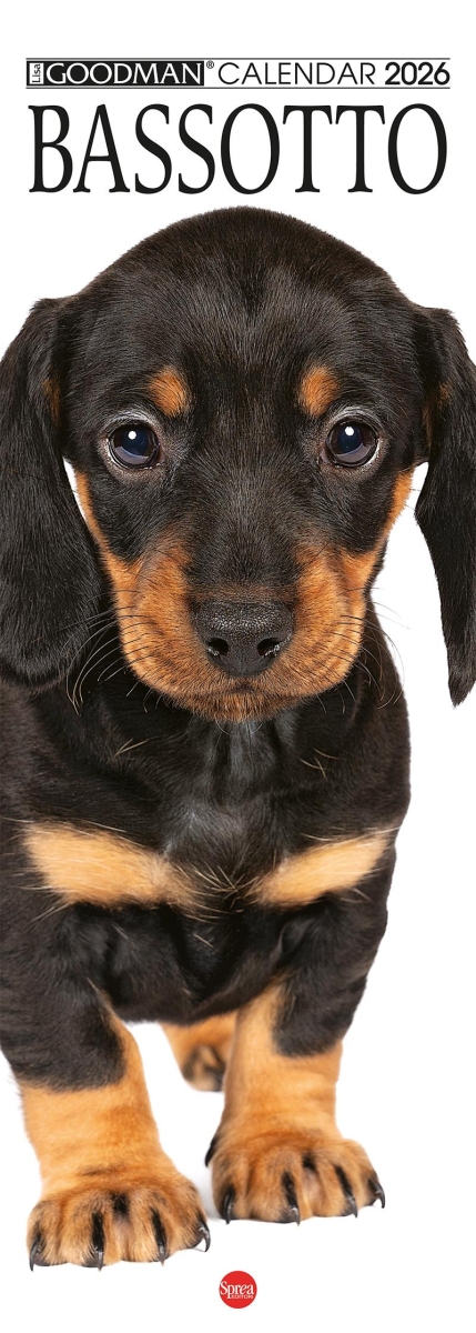 Copertina Il Mio Cane Compiega/Bassotto n.2