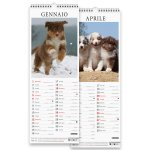 Copertina Australian Shepherd (Libreria) n.1