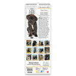 Copertina Cane Corso Libreria n.1