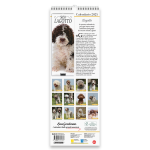 Copertina Lagotto (Libreria) n.1