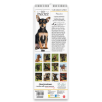 Copertina Pinscher (Libreria) n.1