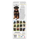 Copertina Rottweiler (Libreria) n.1