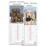 Copertina Weimaraner (Libreria) n.1