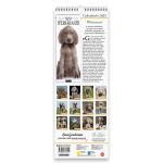 Copertina Weimaraner (Libreria) n.1