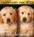 Il Mio Cane Compiega/Golden Retriever n.14