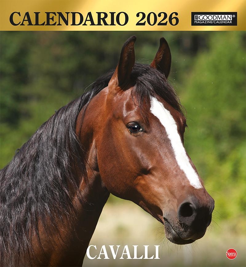 Copertina Argos Compiega/Cavalli n.10