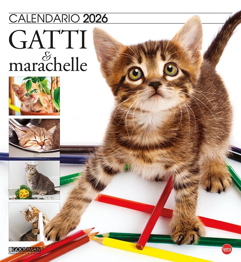 Copertina Gatto Magazine Compiega/Marachelle n.13