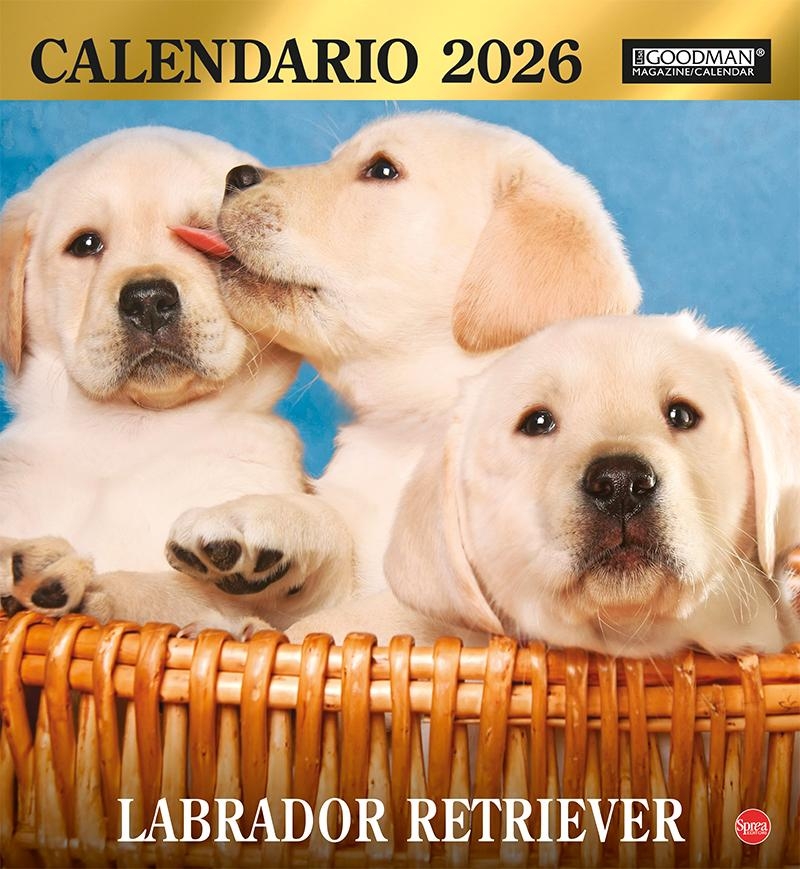 Copertina Argos Compiega/Labrador n.14