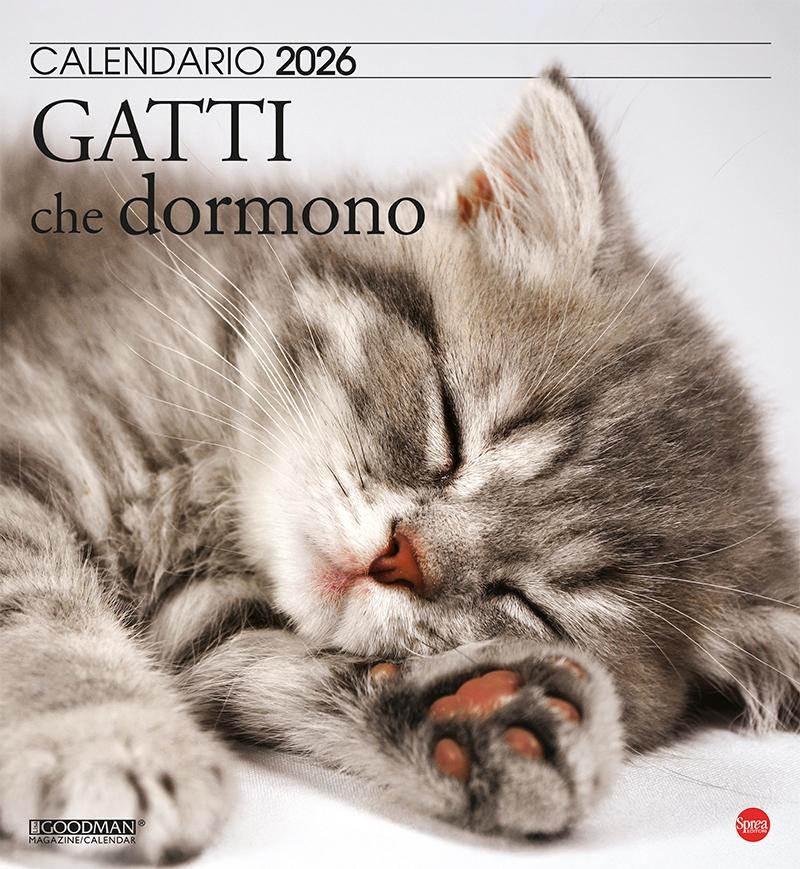 Copertina Argos Compiega/Gatti che dormono n.13