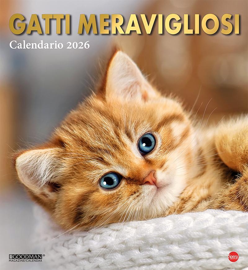 Copertina Gatto Magazine Compiega/Gatti Meravigliosi n.8