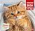 Gatto Magazine Speciale Pocket n.14