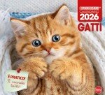 Copertina Gatto Magazine Speciale Pocket n.14