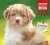 Il Mio Cane Speciale Pocket n.14