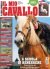 Il Mio Cavallo n.416